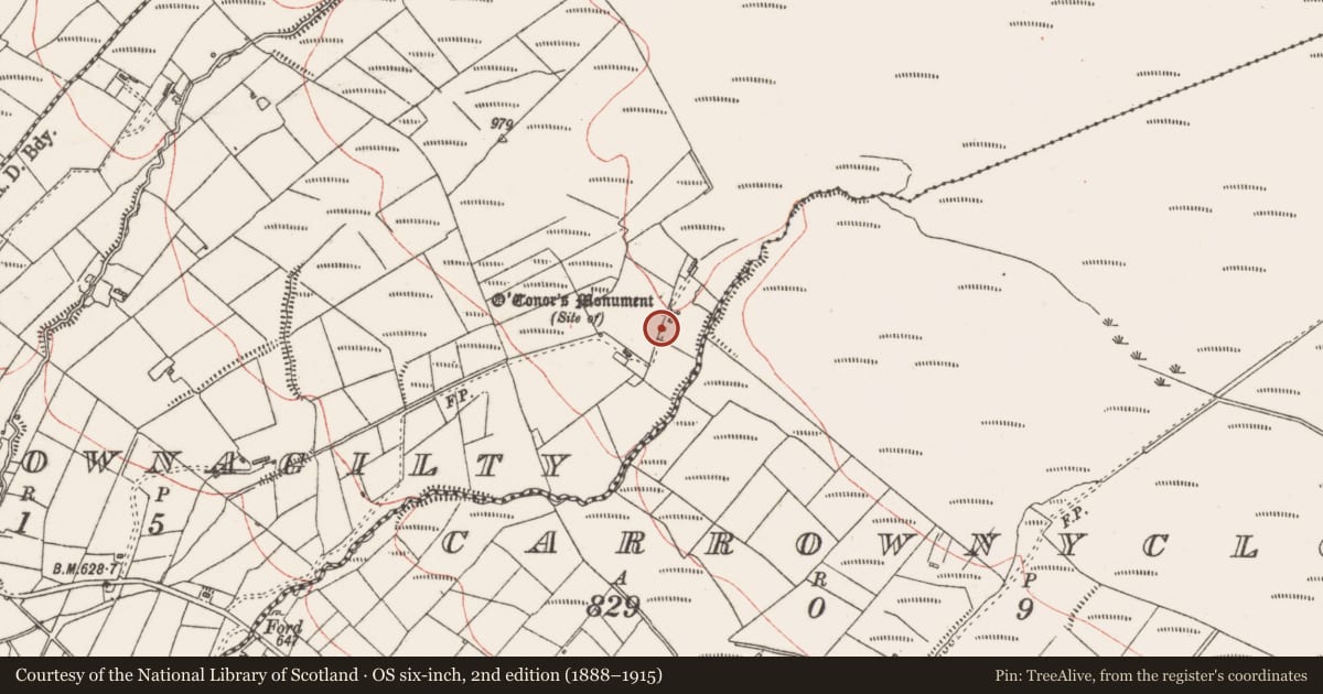 Ordnance Survey six-inch map, 2nd edition (1888–1915) covering the location of Cairn - unclassified, Carrownagilty, County Sligo, with a pin at the register's coordinates