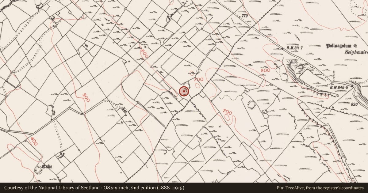 Ordnance Survey six-inch map, 2nd edition (1888–1915) covering the location of Ringfort - rath, Carrownyclowan, County Sligo, with a pin at the register's coordinates
