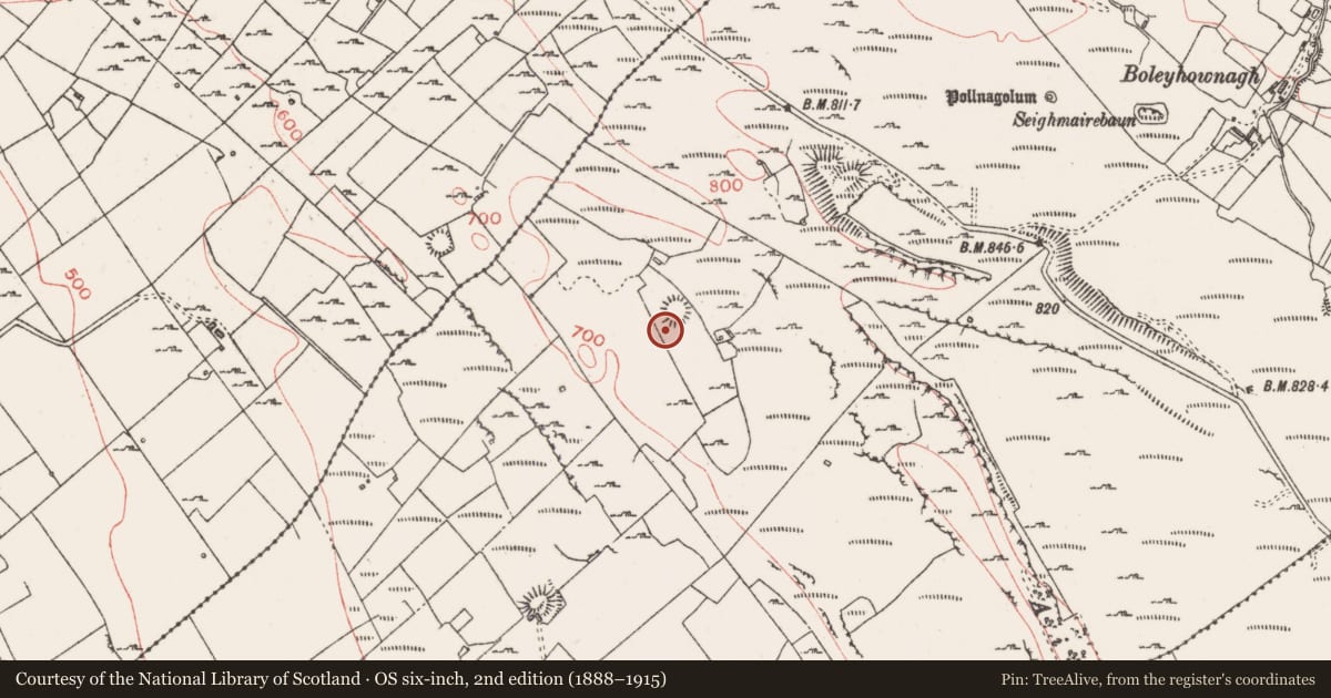 Ordnance Survey six-inch map, 2nd edition (1888–1915) covering the location of Ringfort - cashel, Carrowmore, County Sligo, with a pin at the register's coordinates