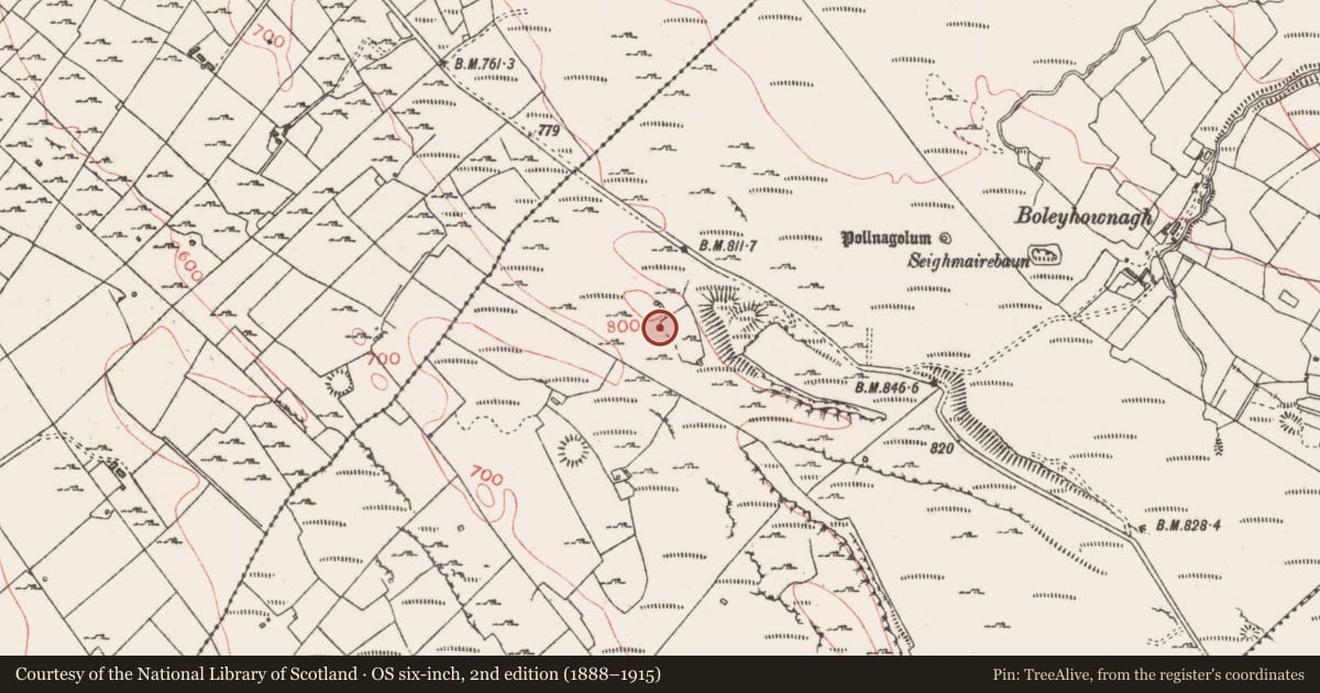 Ordnance Survey six-inch map, 2nd edition (1888–1915) covering the location of Ringfort - rath, Carrowmore, County Sligo, with a pin at the register's coordinates