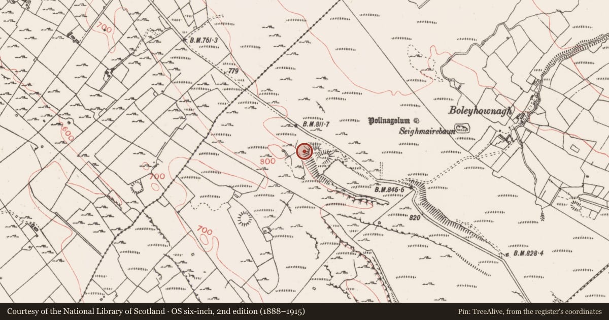 Ordnance Survey six-inch map, 2nd edition (1888–1915) covering the location of Ringfort - rath, Carrowmore, County Sligo, with a pin at the register's coordinates