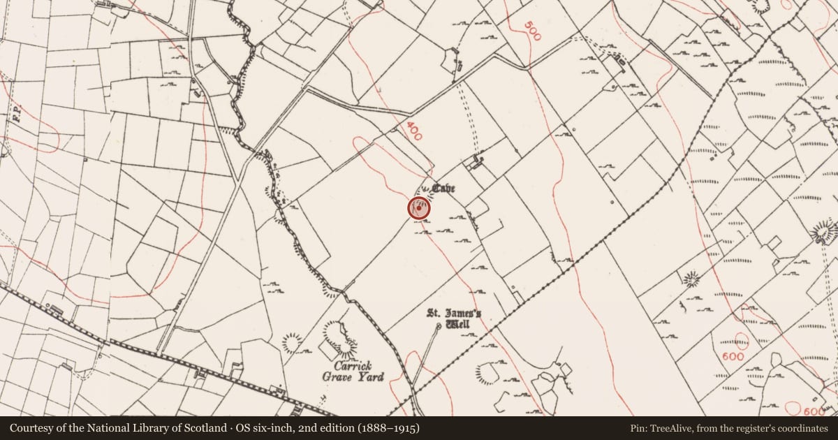 Ordnance Survey six-inch map, 2nd edition (1888–1915) covering the location of Ringfort - cashel, Carrownyclowan, County Sligo, with a pin at the register's coordinates