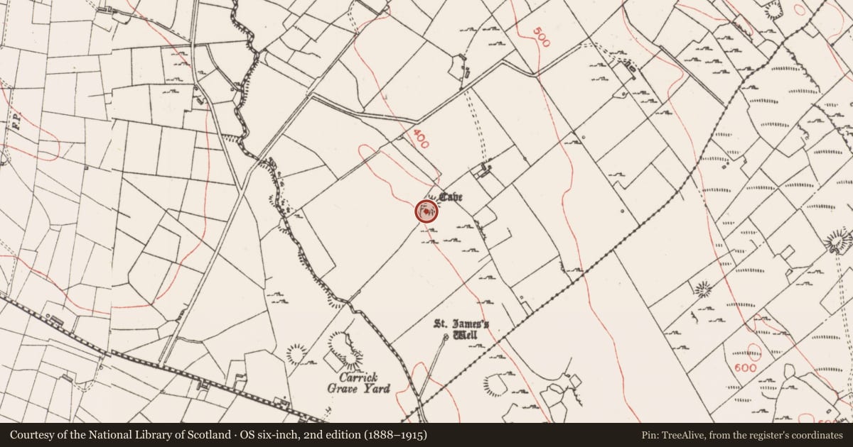 Ordnance Survey six-inch map, 2nd edition (1888–1915) covering the location of Souterrain, Carrownyclowan, County Sligo, with a pin at the register's coordinates