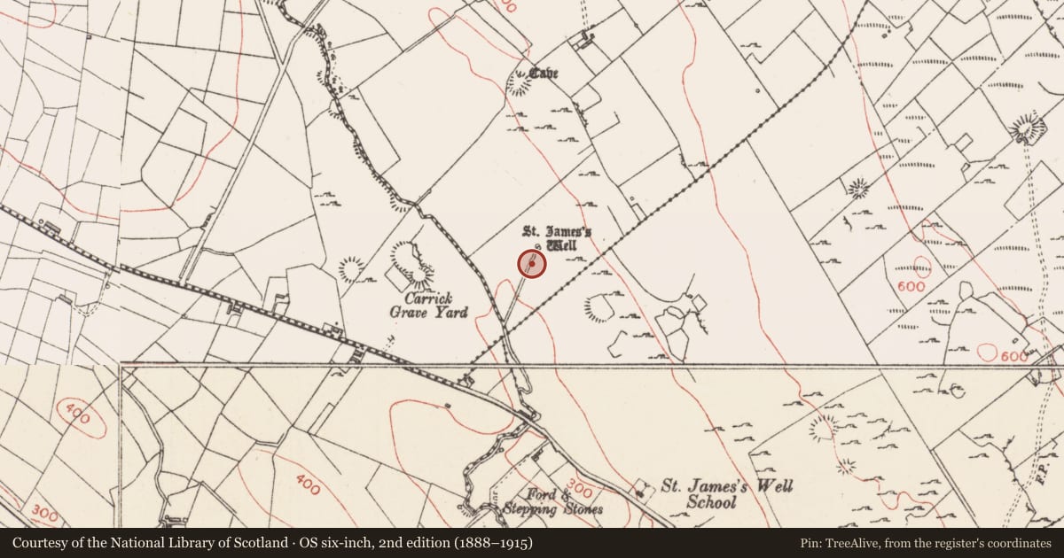 Ordnance Survey six-inch map, 2nd edition (1888–1915) covering the location of Ritual site - holy well, Carrownyclowan, County Sligo, with a pin at the register's coordinates