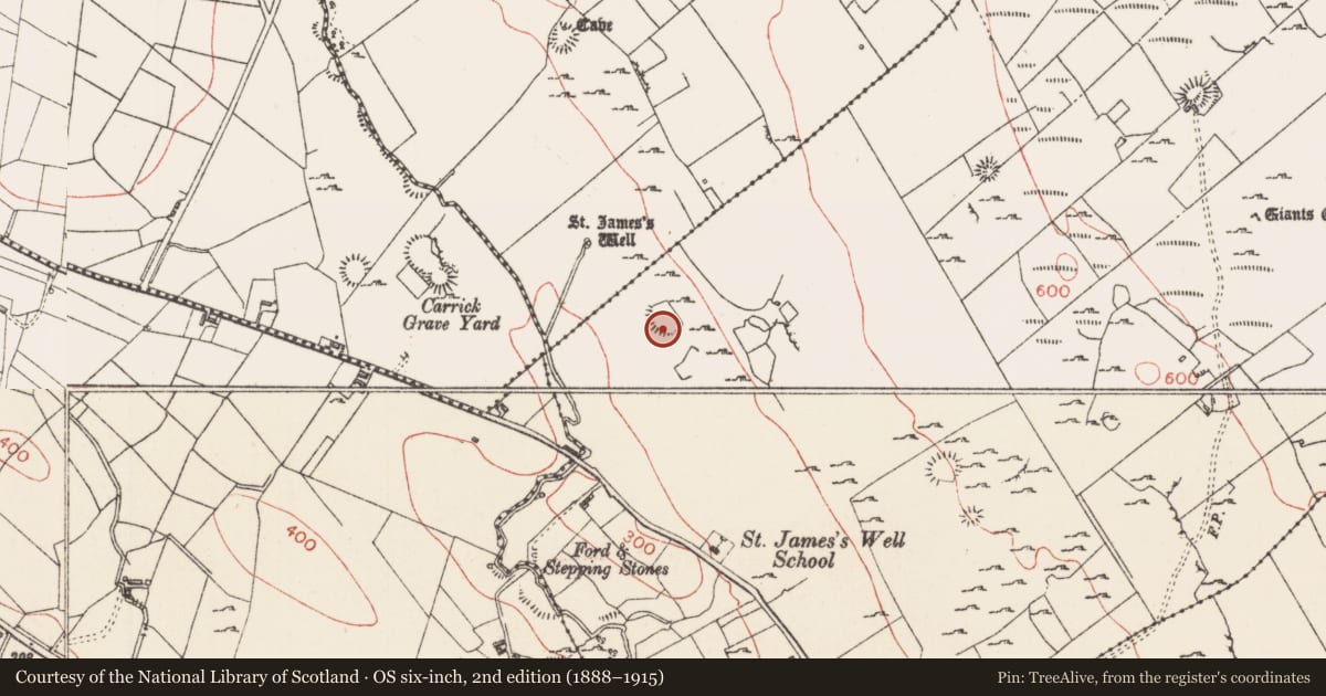 Ordnance Survey six-inch map, 2nd edition (1888–1915) covering the location of Hut site, Carrowmore, County Sligo, with a pin at the register's coordinates