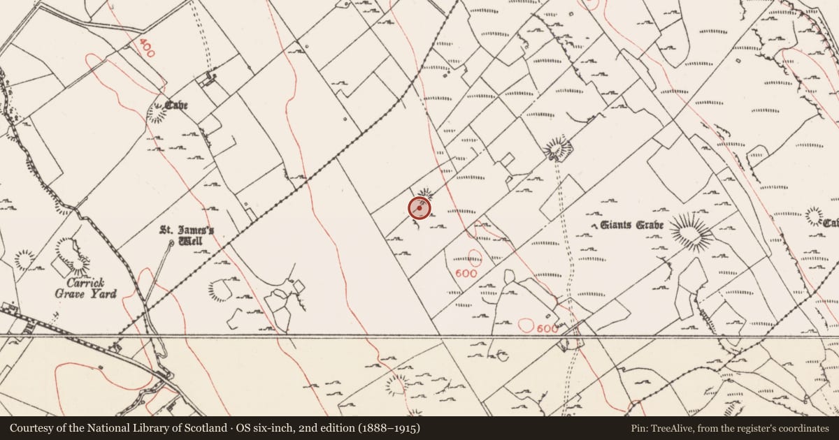 Ordnance Survey six-inch map, 2nd edition (1888–1915) covering the location of Ringfort - cashel, Carrowmore, County Sligo, with a pin at the register's coordinates