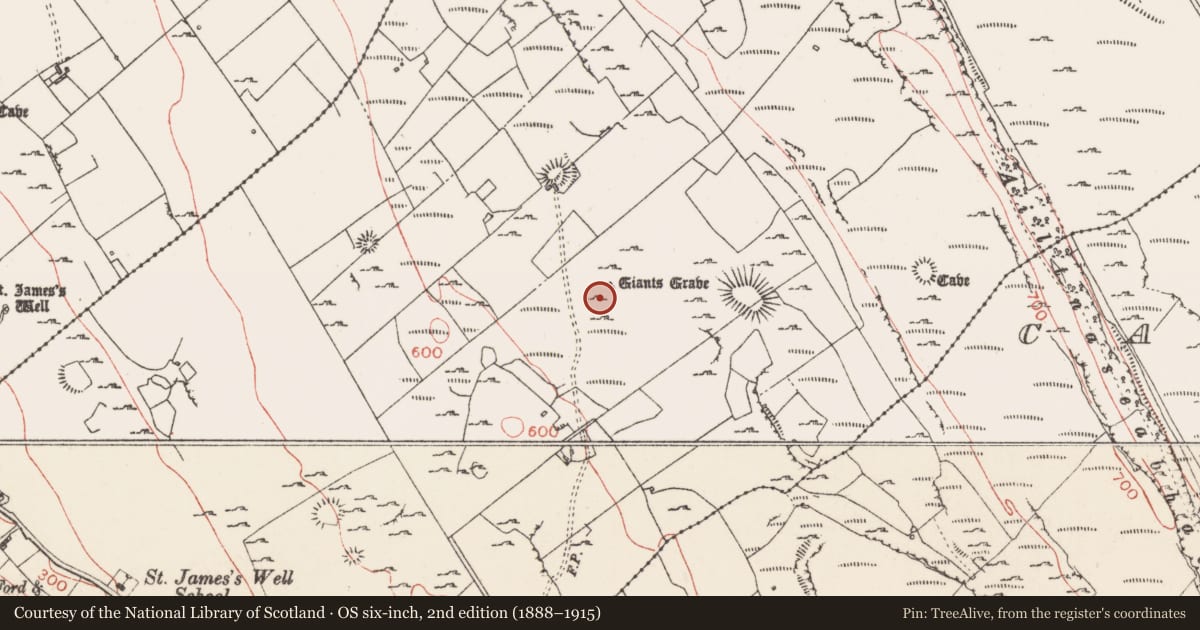 Ordnance Survey six-inch map, 2nd edition (1888–1915) covering the location of Megalithic tomb - court tomb, Carrowmore, County Sligo, with a pin at the register's coordinates