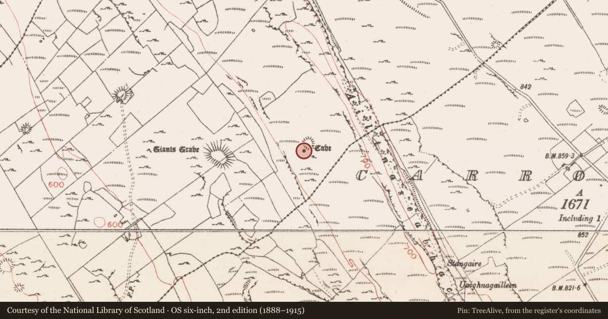 Ordnance Survey six-inch map, 2nd edition (1888–1915) covering the location of Ringfort - cashel, Carrowmore, County Sligo, with a pin at the register's coordinates