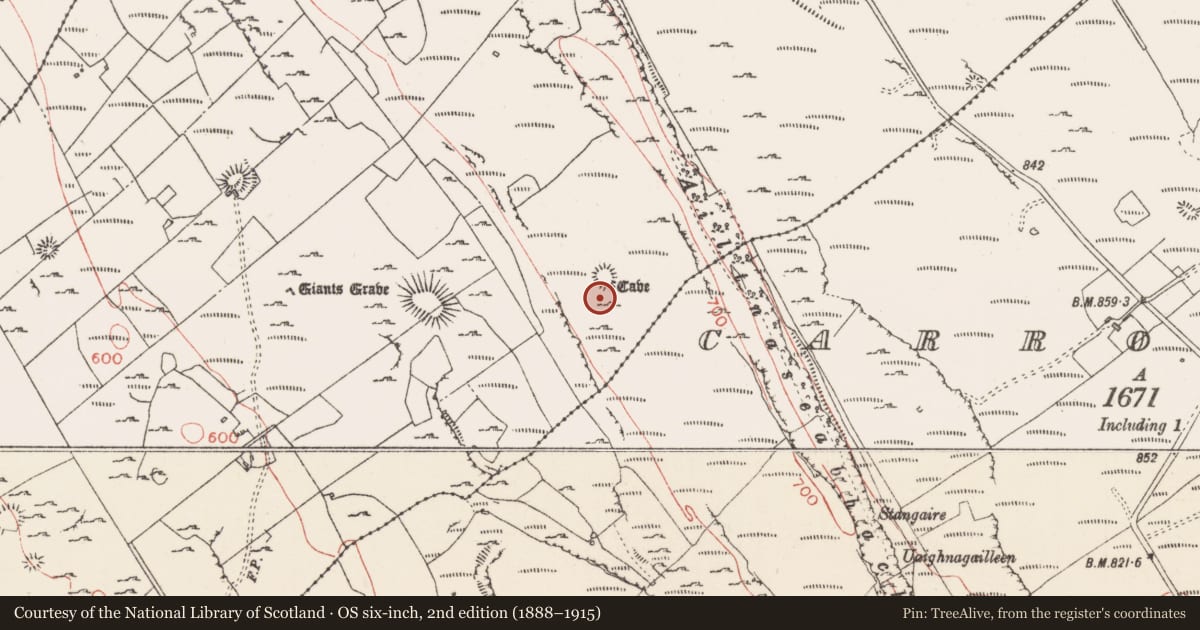 Ordnance Survey six-inch map, 2nd edition (1888–1915) covering the location of Souterrain, Carrowmore, County Sligo, with a pin at the register's coordinates