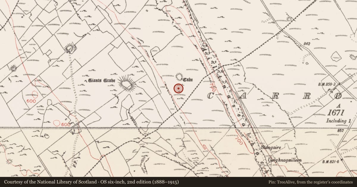 Ordnance Survey six-inch map, 2nd edition (1888–1915) covering the location of Enclosure, Carrowmore, County Sligo, with a pin at the register's coordinates