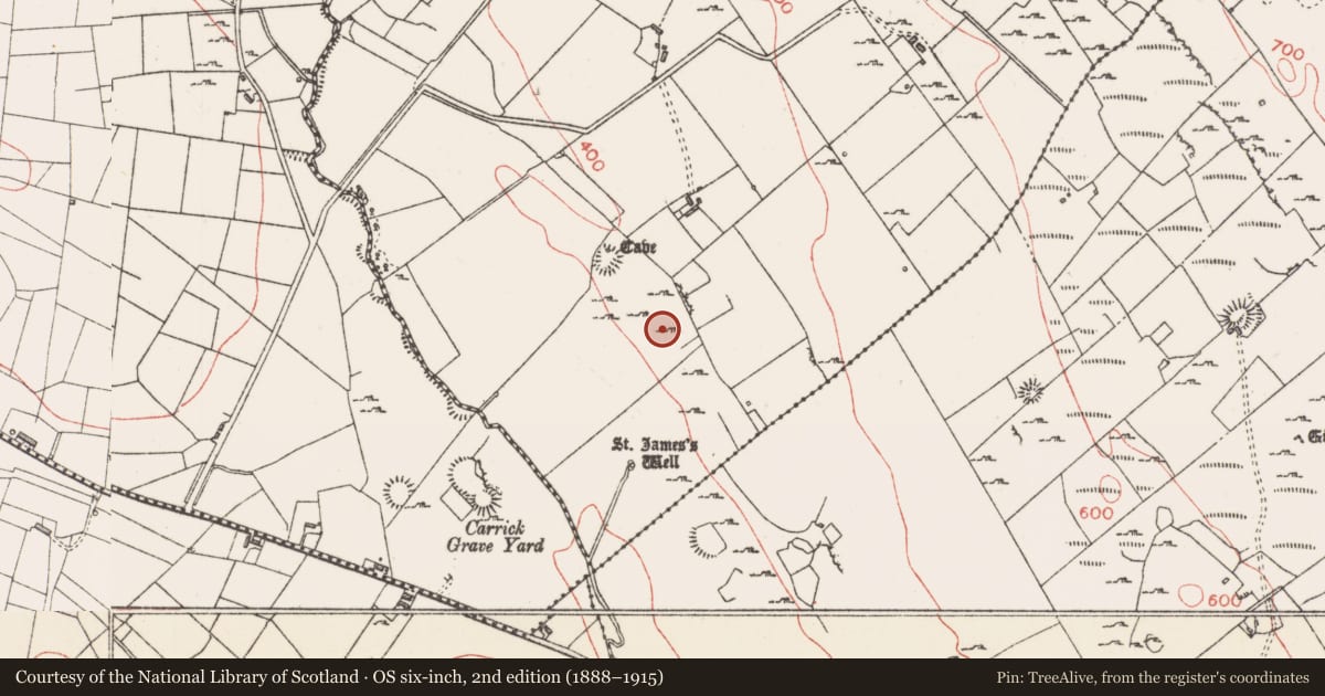 Ordnance Survey six-inch map, 2nd edition (1888–1915) covering the location of Ringfort - cashel, Carrownyclowan, County Sligo, with a pin at the register's coordinates