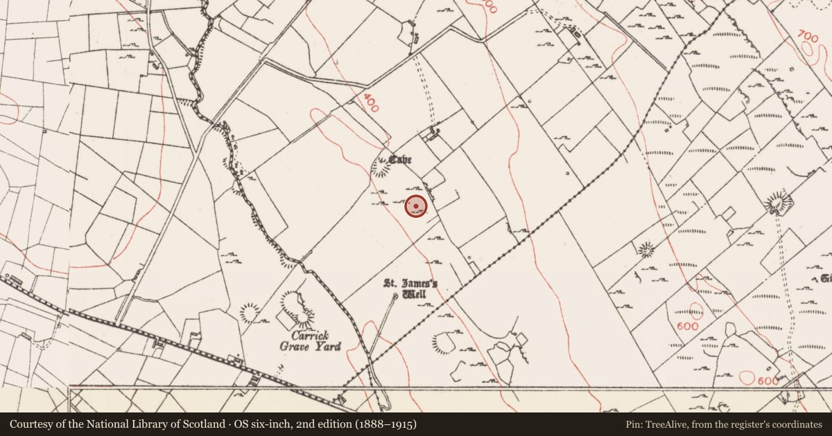 Ordnance Survey six-inch map, 2nd edition (1888–1915) covering the location of Hut site, Carrownyclowan, County Sligo, with a pin at the register's coordinates