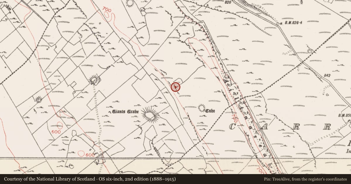 Ordnance Survey six-inch map, 2nd edition (1888–1915) covering the location of Cliff-edge fort, Carrowmore, County Sligo, with a pin at the register's coordinates