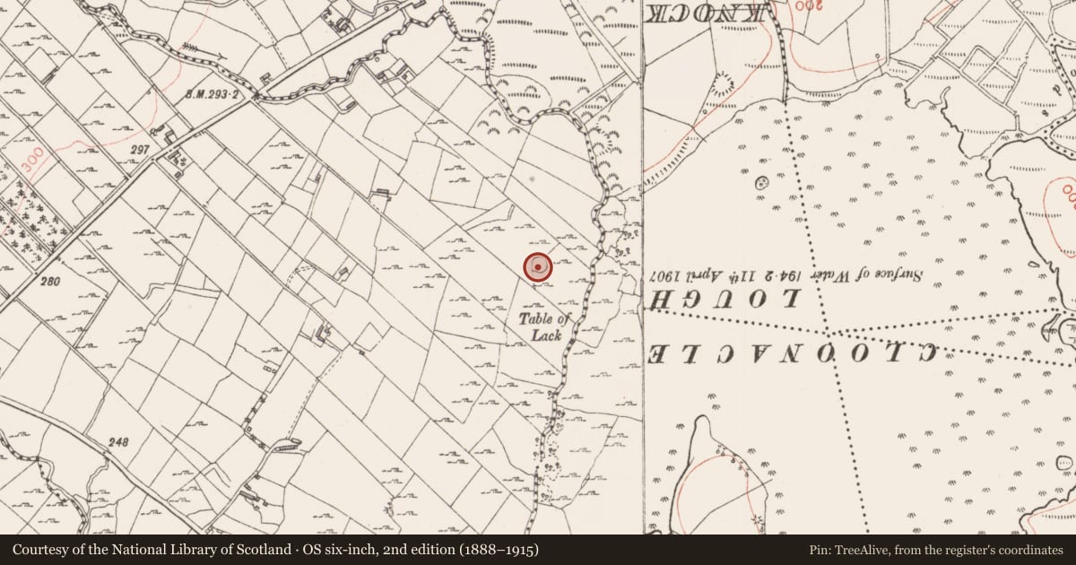 Ordnance Survey six-inch map, 2nd edition (1888–1915) covering the location of Ringfort - cashel, Kilcummin, County Sligo, with a pin at the register's coordinates