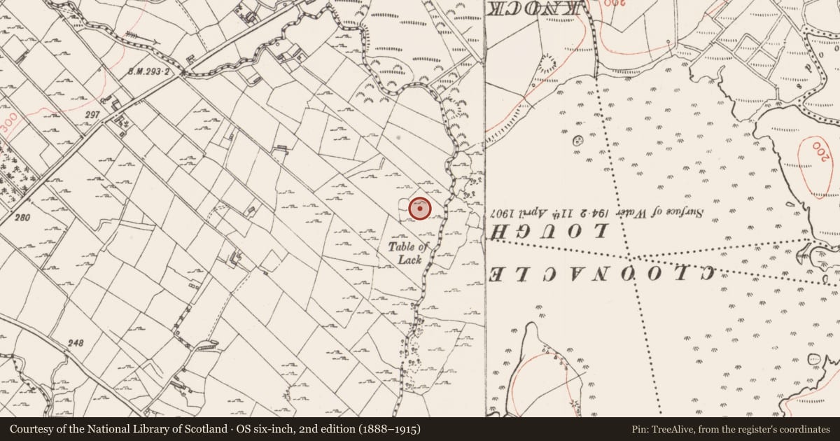 Ordnance Survey six-inch map, 2nd edition (1888–1915) covering the location of Bullaun stone, Kilcummin, County Sligo, with a pin at the register's coordinates