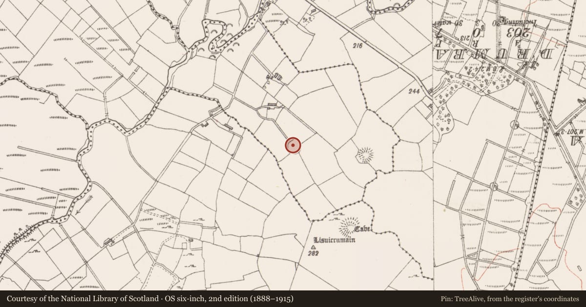 Ordnance Survey six-inch map, 2nd edition (1888–1915) covering the location of Ringfort - rath, Derreens, County Sligo, with a pin at the register's coordinates