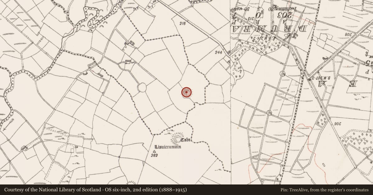 Ordnance Survey six-inch map, 2nd edition (1888–1915) covering the location of Ringfort - rath, Derreens, County Sligo, with a pin at the register's coordinates