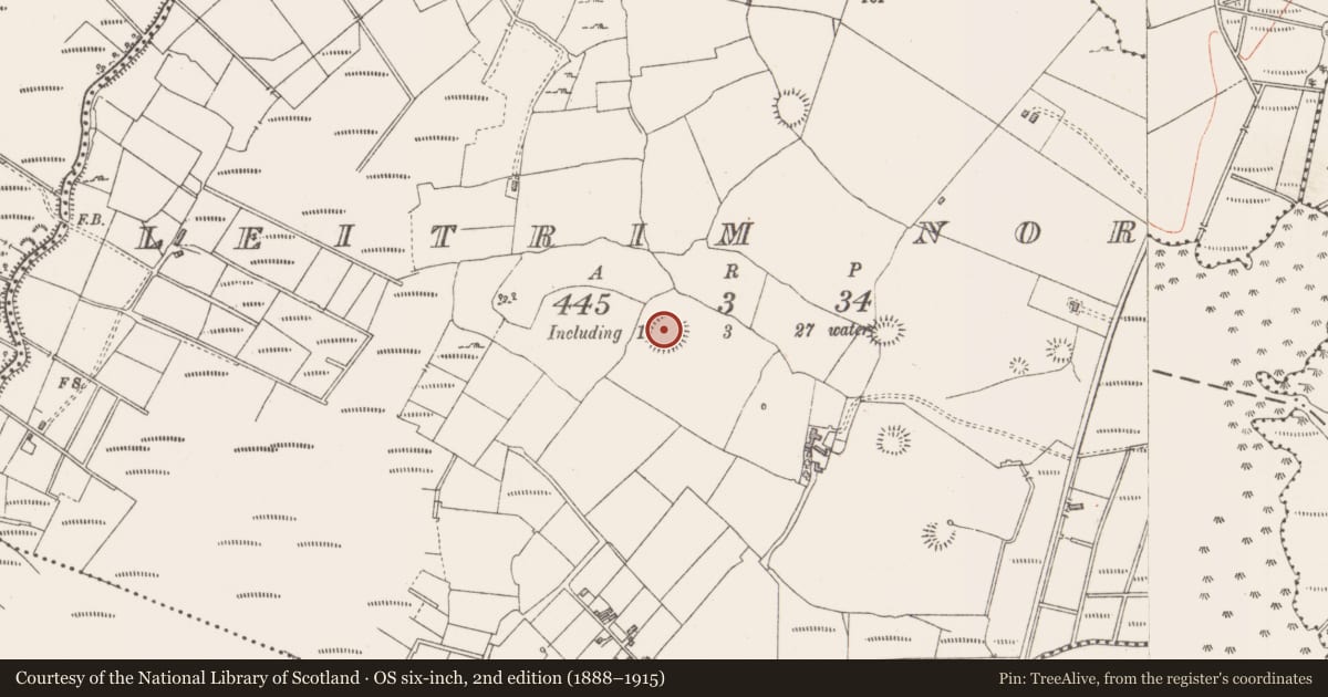 Ordnance Survey six-inch map, 2nd edition (1888–1915) covering the location of Ringfort - rath, Leitrim North, County Sligo, with a pin at the register's coordinates