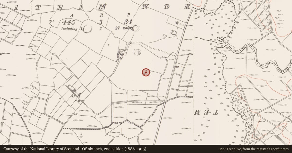 Ordnance Survey six-inch map, 2nd edition (1888–1915) covering the location of Ringfort - rath, Leitrim North, County Sligo, with a pin at the register's coordinates