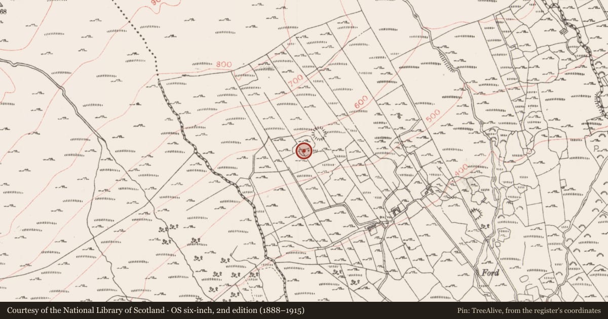 Ordnance Survey six-inch map, 2nd edition (1888–1915) covering the location of Enclosure, Tullyvellia, County Sligo, with a pin at the register's coordinates