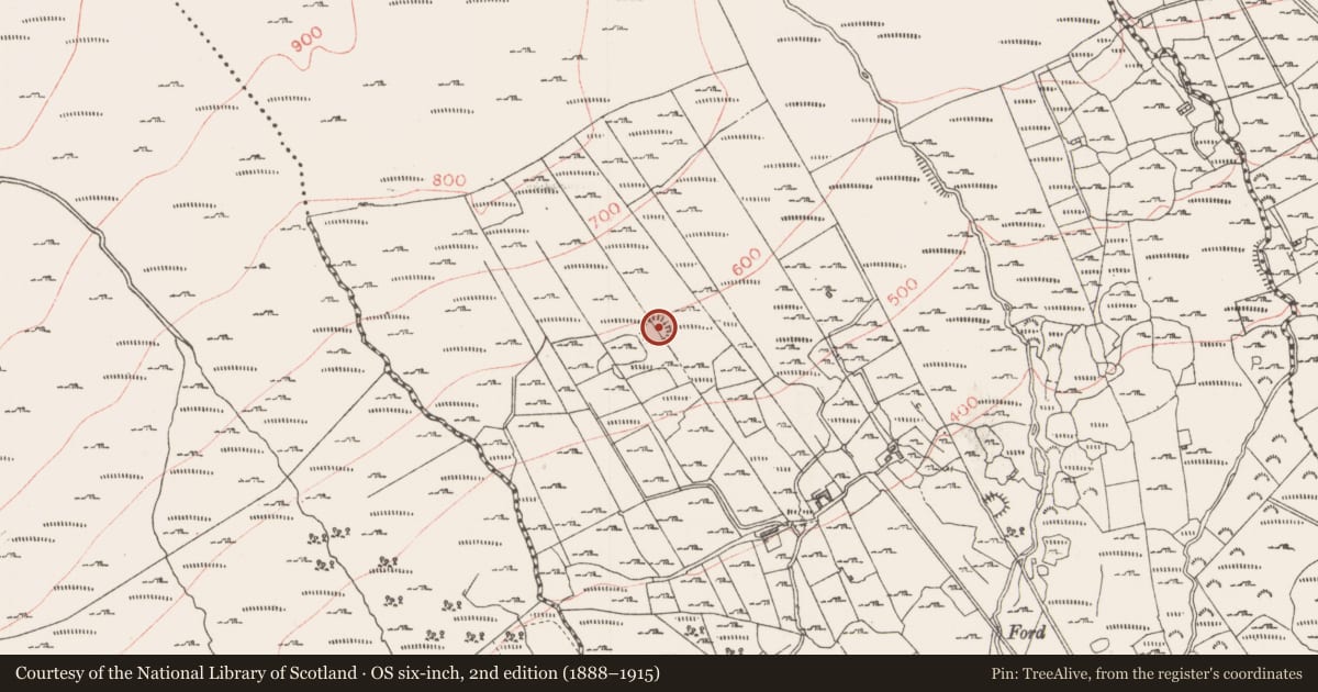 Ordnance Survey six-inch map, 2nd edition (1888–1915) covering the location of Ringfort - cashel, Tullyvellia, County Sligo, with a pin at the register's coordinates