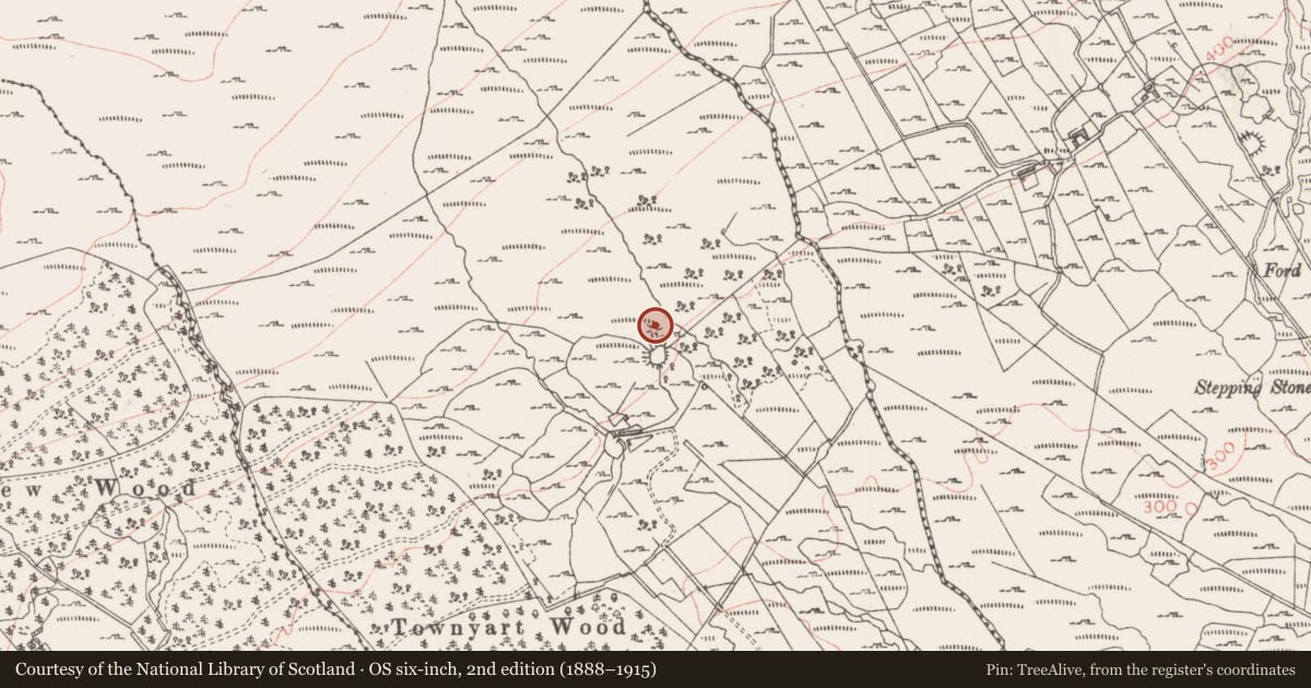Ordnance Survey six-inch map, 2nd edition (1888–1915) covering the location of Barrow - mound barrow, Sessuecommon, County Sligo, with a pin at the register's coordinates