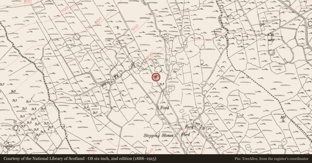 Ordnance Survey six-inch map, 2nd edition (1888–1915) covering the location of Ringfort - rath, Tullyvellia, County Sligo, with a pin at the register's coordinates