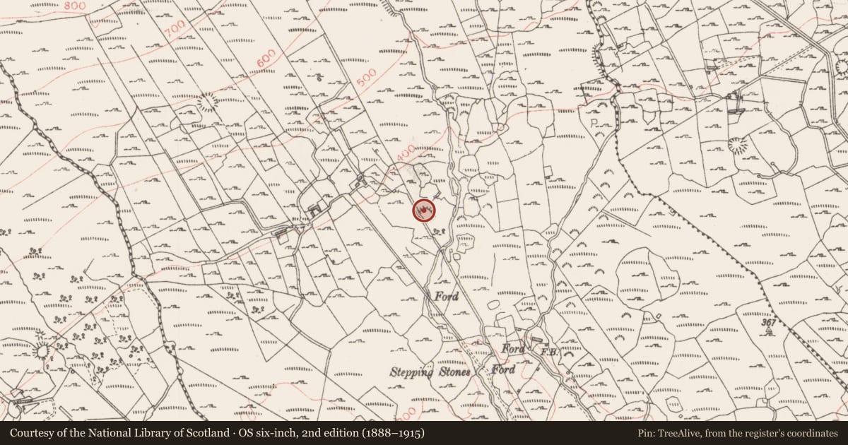 Ordnance Survey six-inch map, 2nd edition (1888–1915) covering the location of House - early medieval, Tullyvellia, County Sligo, with a pin at the register's coordinates