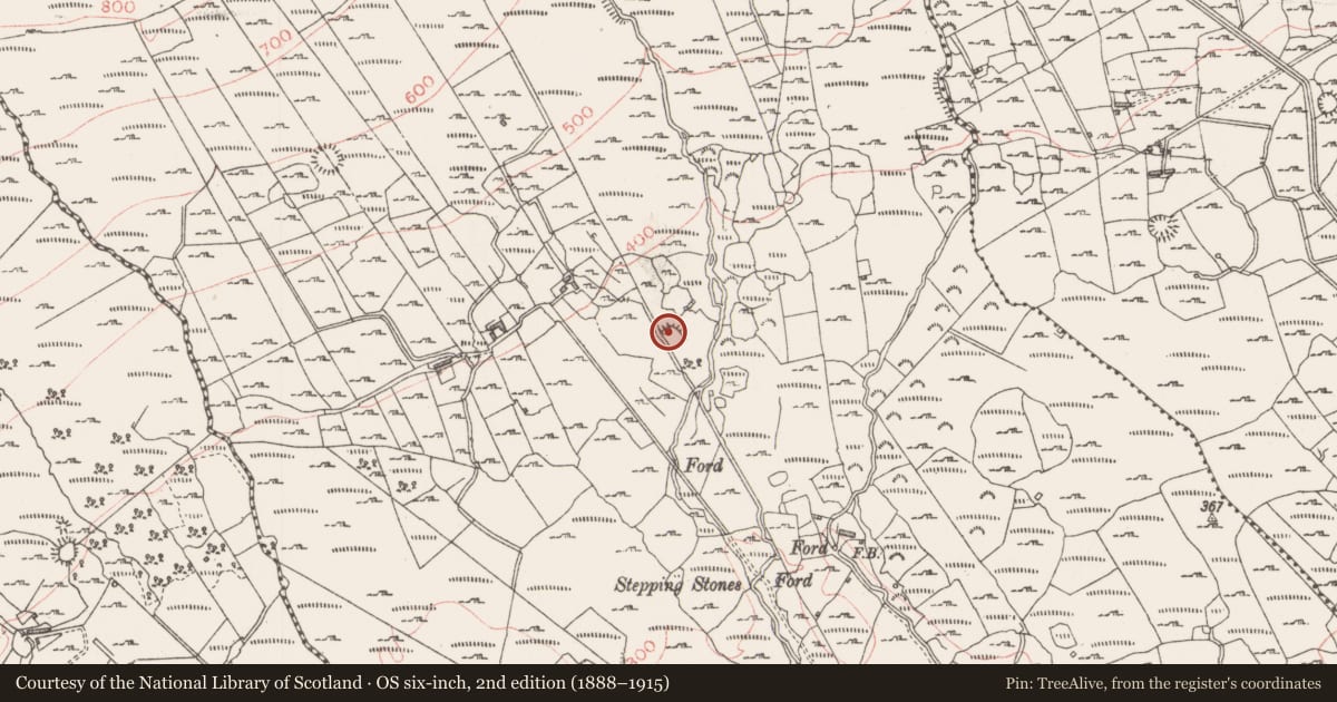 Ordnance Survey six-inch map, 2nd edition (1888–1915) covering the location of Hut site, Tullyvellia, County Sligo, with a pin at the register's coordinates