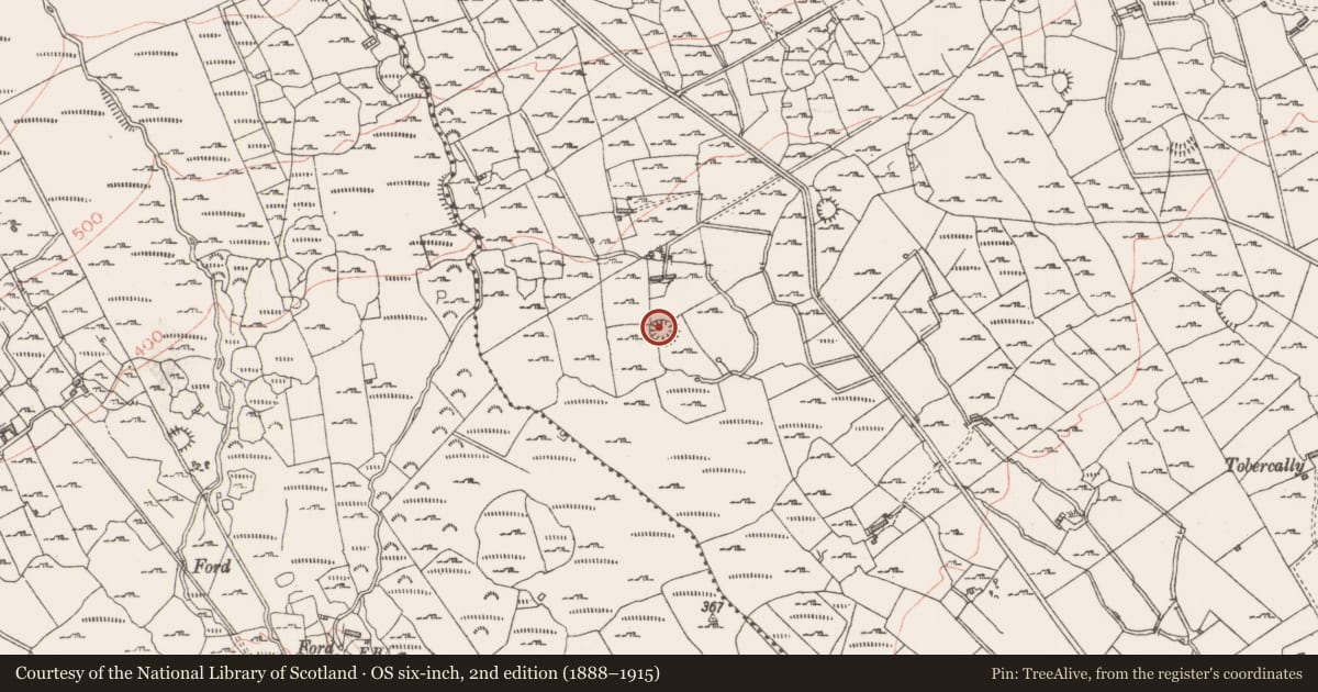 Ordnance Survey six-inch map, 2nd edition (1888–1915) covering the location of Ringfort - cashel, Mullaun, County Sligo, with a pin at the register's coordinates