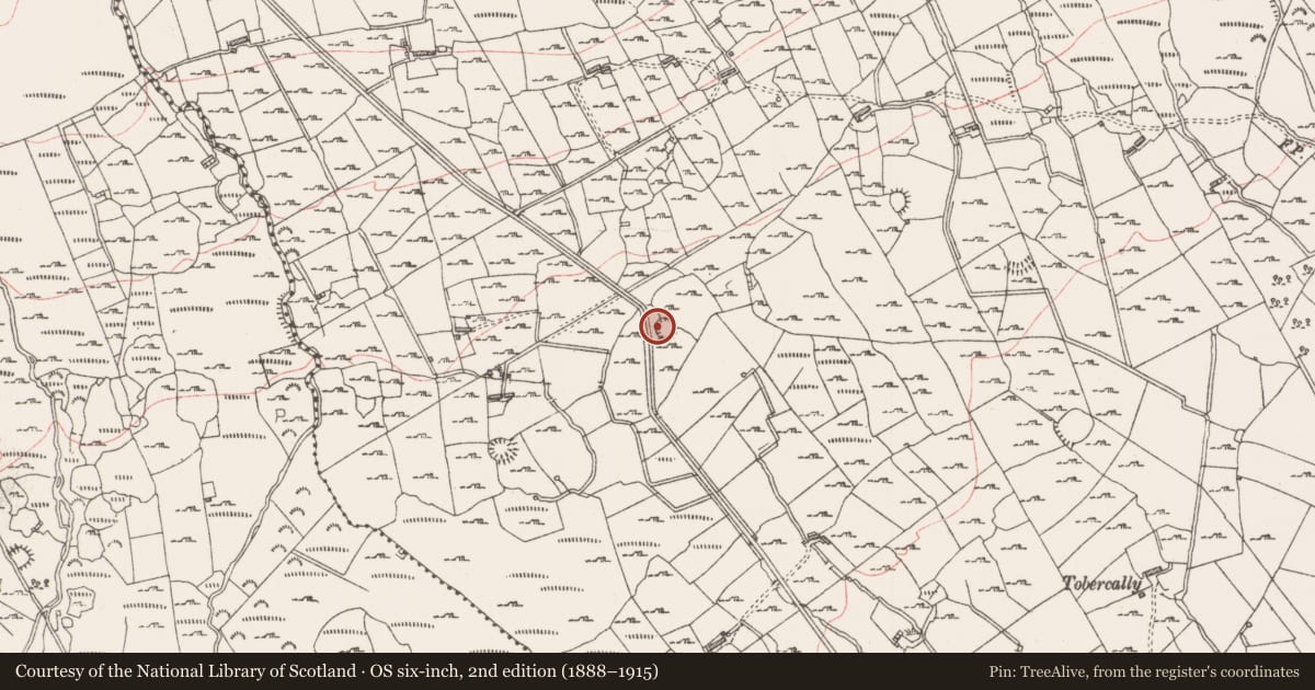 Ordnance Survey six-inch map, 2nd edition (1888–1915) covering the location of Ringfort - cashel, Mullaun, County Sligo, with a pin at the register's coordinates
