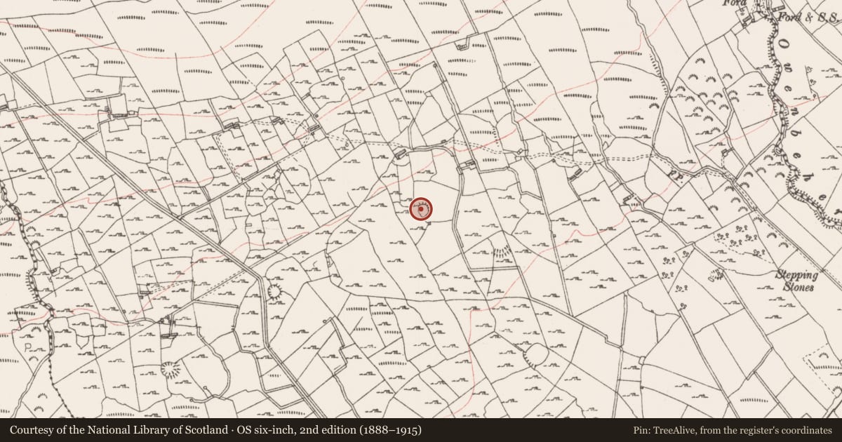 Ordnance Survey six-inch map, 2nd edition (1888–1915) covering the location of Enclosure, Mullaun, County Sligo, with a pin at the register's coordinates