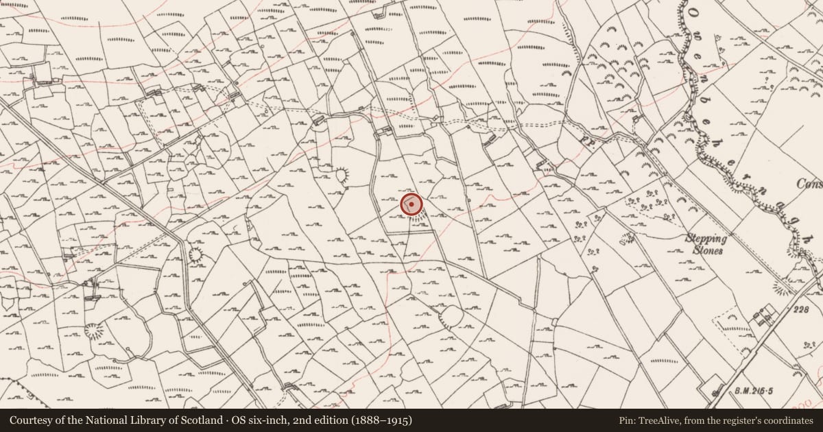 Ordnance Survey six-inch map, 2nd edition (1888–1915) covering the location of Ringfort - rath, Mullaun, County Sligo, with a pin at the register's coordinates