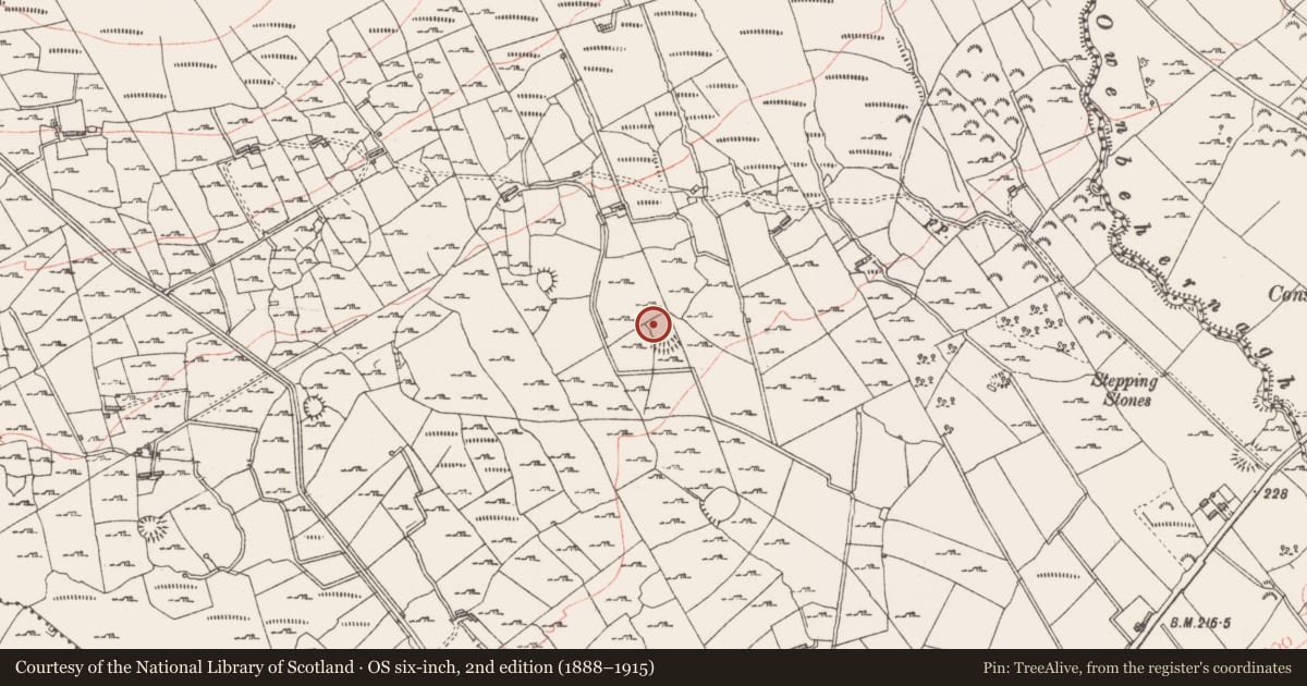 Ordnance Survey six-inch map, 2nd edition (1888–1915) covering the location of Souterrain, Mullaun, County Sligo, with a pin at the register's coordinates