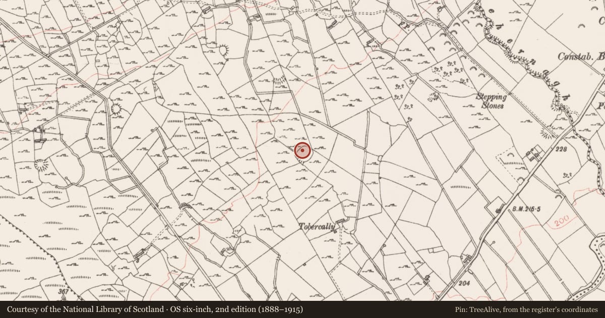Ordnance Survey six-inch map, 2nd edition (1888–1915) covering the location of Ringfort - rath, Mullaun, County Sligo, with a pin at the register's coordinates
