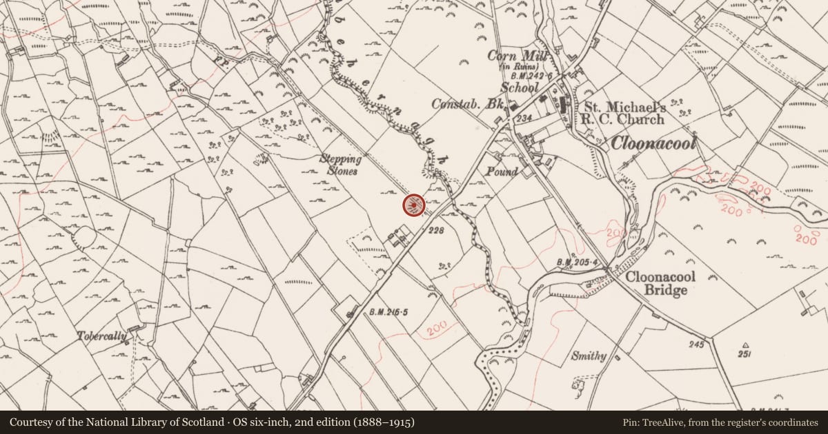 Ordnance Survey six-inch map, 2nd edition (1888–1915) covering the location of Ringfort - rath, Mullaun, County Sligo, with a pin at the register's coordinates