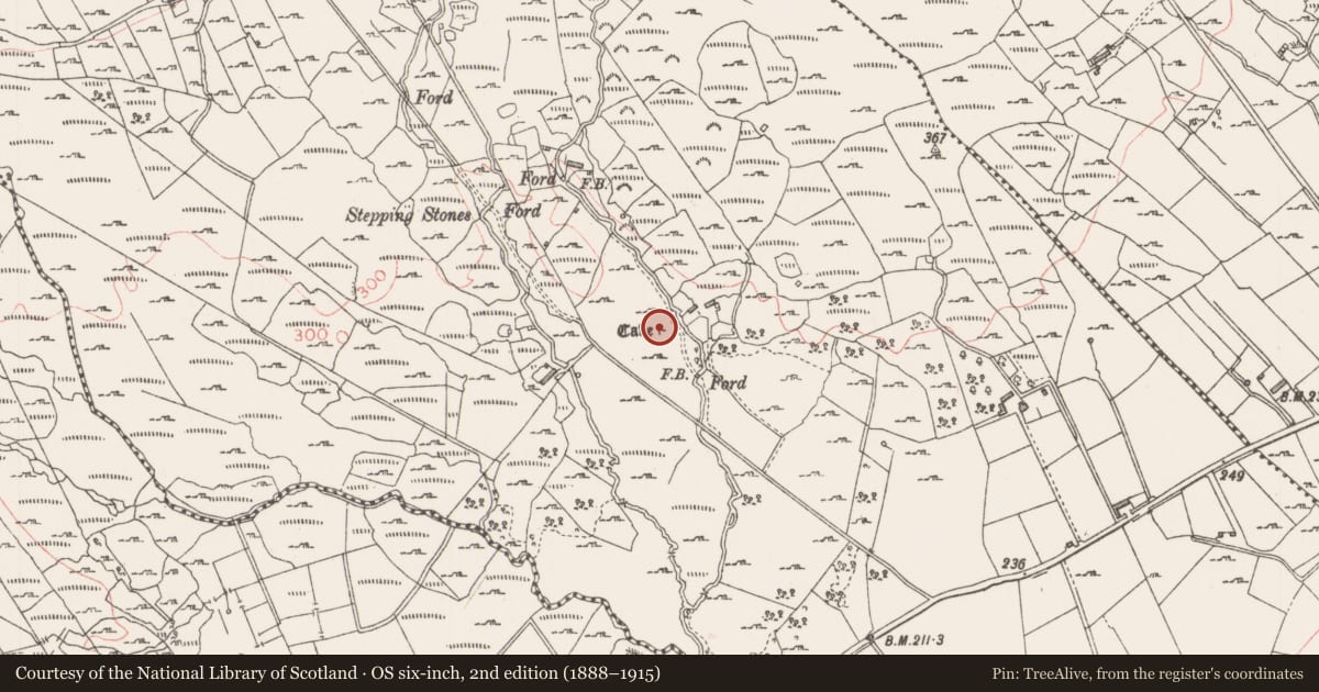 Ordnance Survey six-inch map, 2nd edition (1888–1915) covering the location of Souterrain, Tullyvellia, County Sligo, with a pin at the register's coordinates