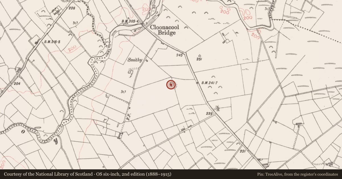 Ordnance Survey six-inch map, 2nd edition (1888–1915) covering the location of Souterrain, Cloonacool, County Sligo, with a pin at the register's coordinates