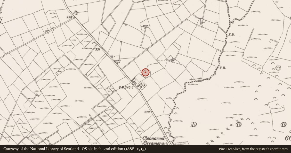 Ordnance Survey six-inch map, 2nd edition (1888–1915) covering the location of Ringfort - rath, Cloonacool, County Sligo, with a pin at the register's coordinates