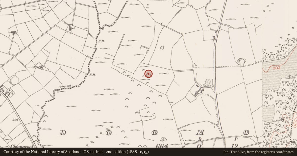 Ordnance Survey six-inch map, 2nd edition (1888–1915) covering the location of Ringfort - rath, Doomore, County Sligo, with a pin at the register's coordinates