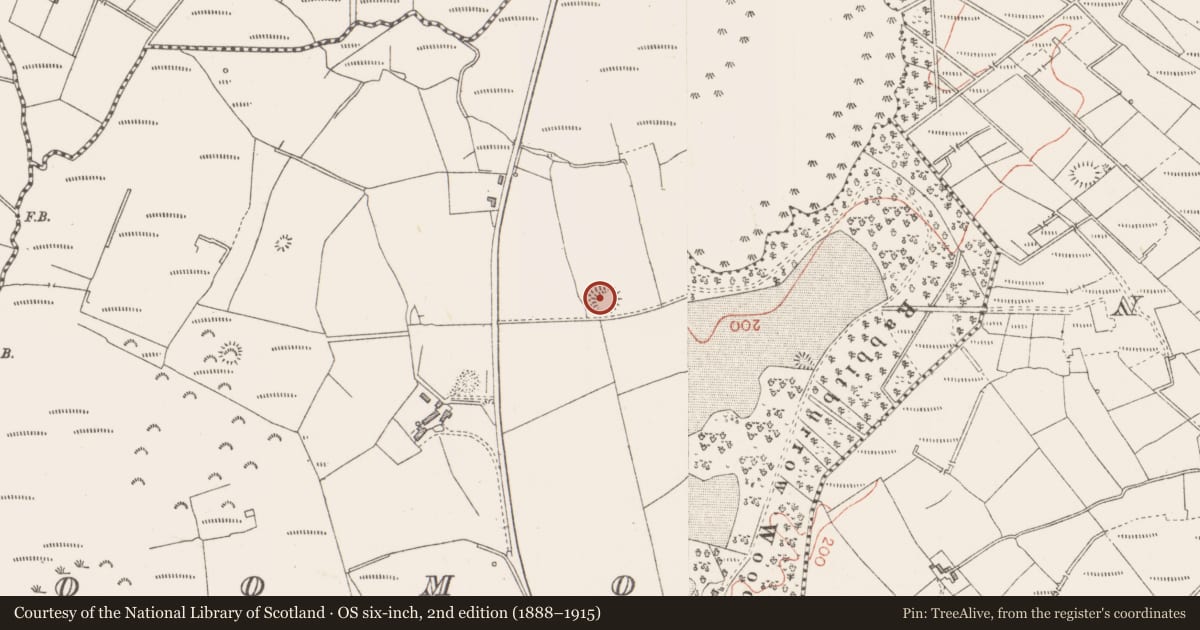 Ordnance Survey six-inch map, 2nd edition (1888–1915) covering the location of Ringfort - rath, Doomore, County Sligo, with a pin at the register's coordinates