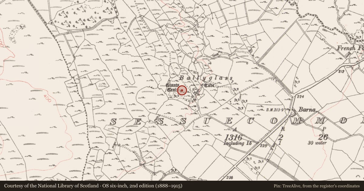 Ordnance Survey six-inch map, 2nd edition (1888–1915) covering the location of Megalithic tomb - court tomb, Sessuecommon, County Sligo, with a pin at the register's coordinates