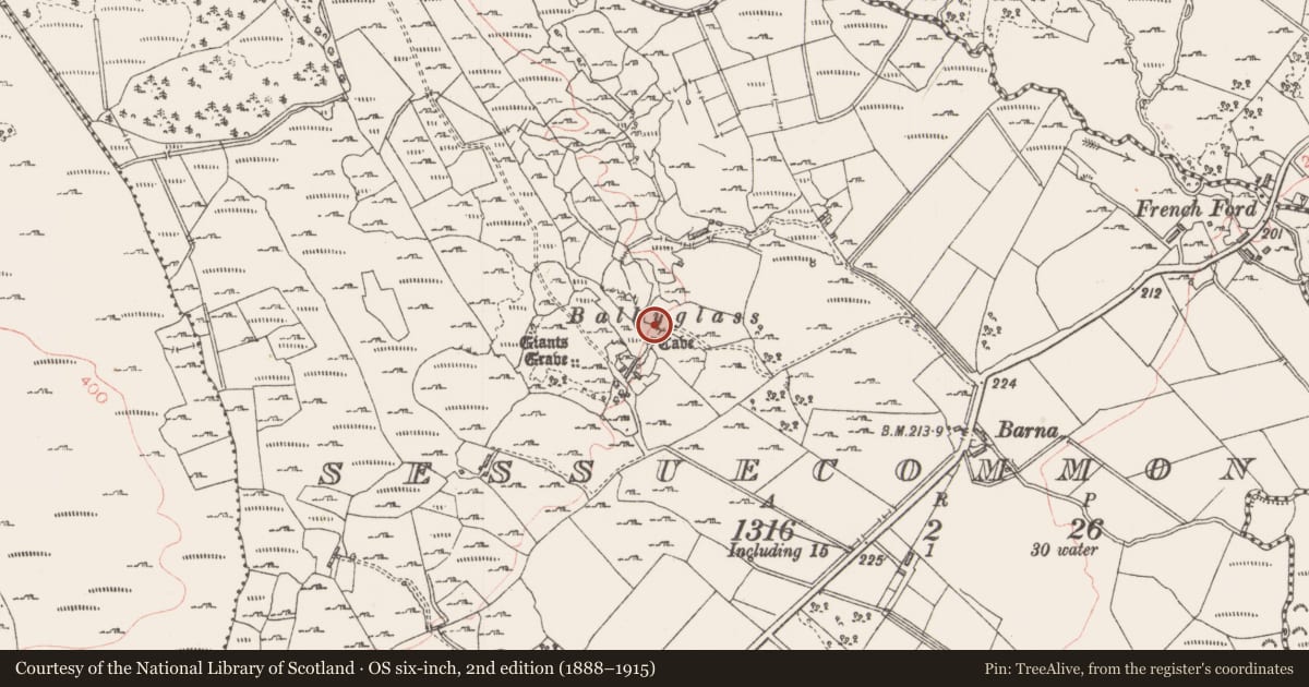 Ordnance Survey six-inch map, 2nd edition (1888–1915) covering the location of Souterrain, Sessuecommon, County Sligo, with a pin at the register's coordinates
