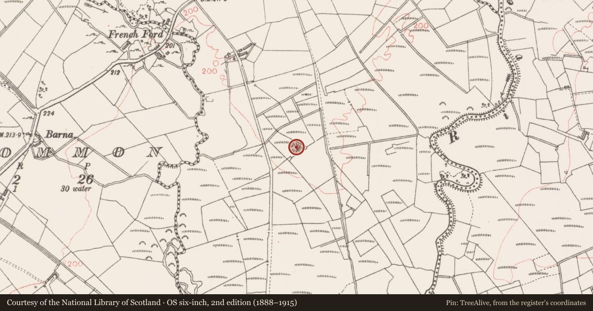 Ordnance Survey six-inch map, 2nd edition (1888–1915) covering the location of Ringfort - rath, Tullyvellia, County Sligo, with a pin at the register's coordinates