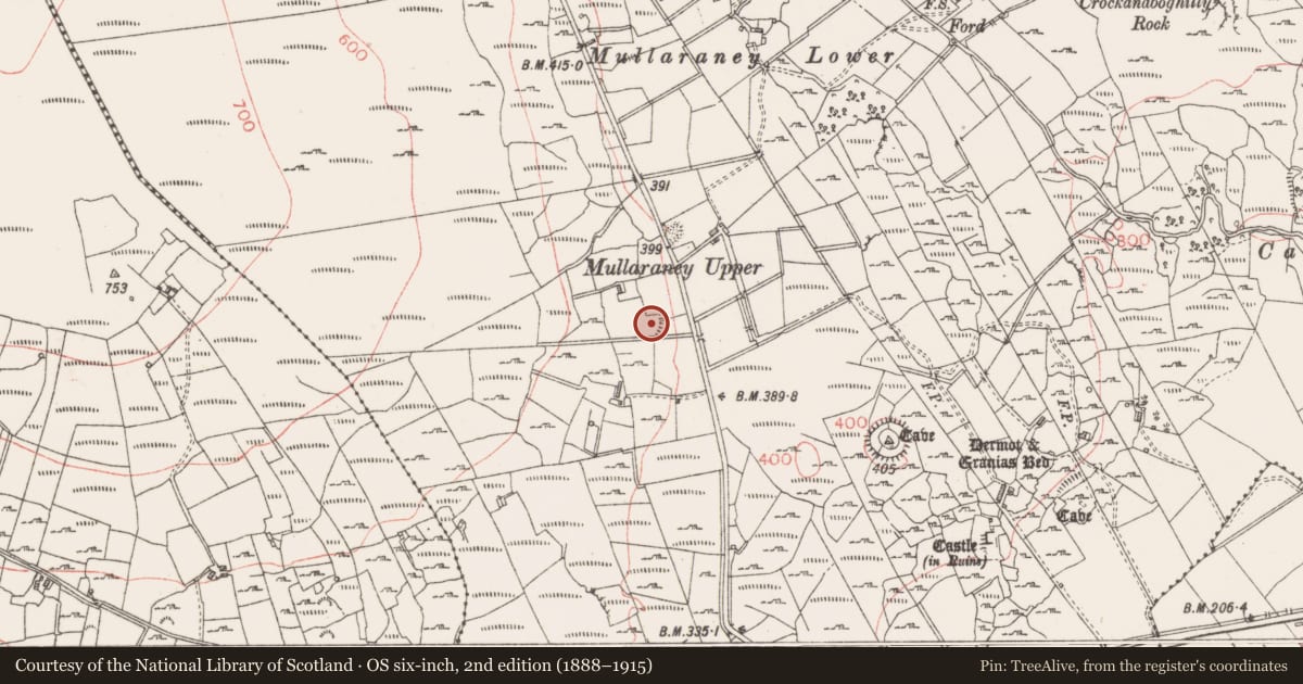 Ordnance Survey six-inch map, 2nd edition (1888–1915) covering the location of Ringfort - rath, Castlerock Or Castlecarragh, County Sligo, with a pin at the register's coordinates