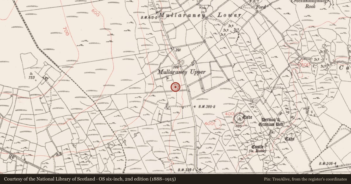 Ordnance Survey six-inch map, 2nd edition (1888–1915) covering the location of Hut site, Castlerock Or Castlecarragh, County Sligo, with a pin at the register's coordinates