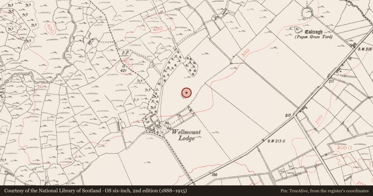 Ordnance Survey six-inch map, 2nd edition (1888–1915) covering the location of Ringfort - rath, Sessuegarry, County Sligo, with a pin at the register's coordinates