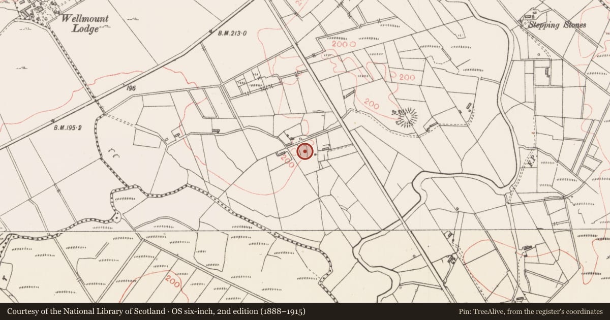 Ordnance Survey six-inch map, 2nd edition (1888–1915) covering the location of Enclosure, Sessuegarry, County Sligo, with a pin at the register's coordinates