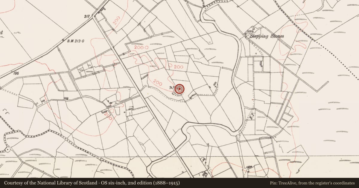 Ordnance Survey six-inch map, 2nd edition (1888–1915) covering the location of Ringfort - rath, Sessuegarry, County Sligo, with a pin at the register's coordinates