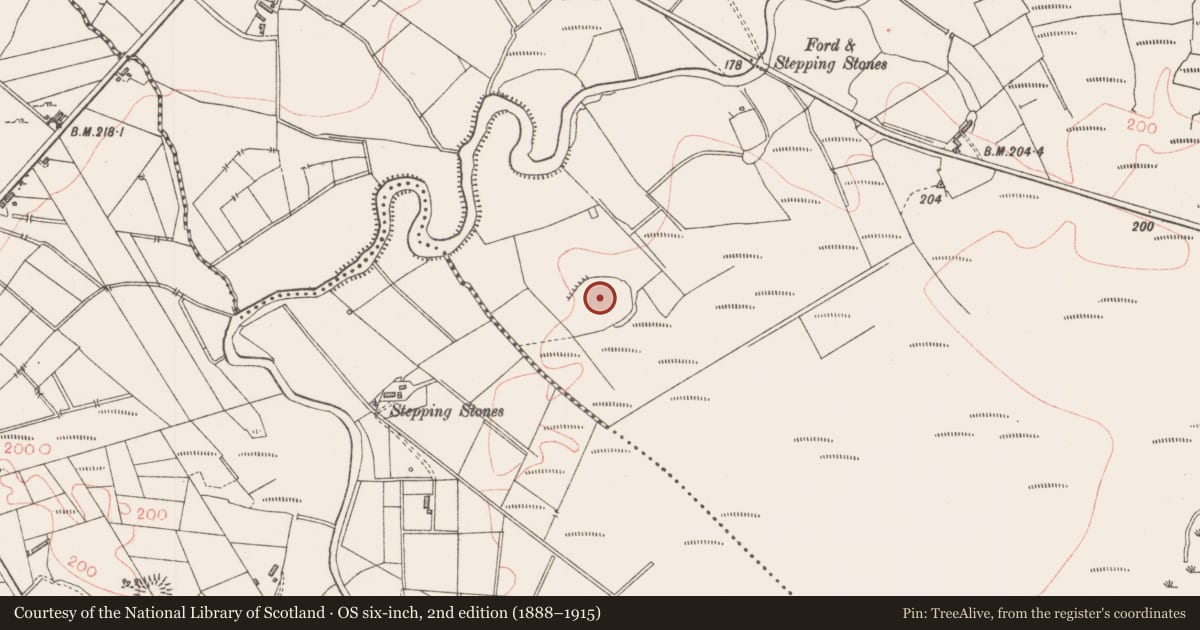 Ordnance Survey six-inch map, 2nd edition (1888–1915) covering the location of Enclosure, Sessuecommon, County Sligo, with a pin at the register's coordinates